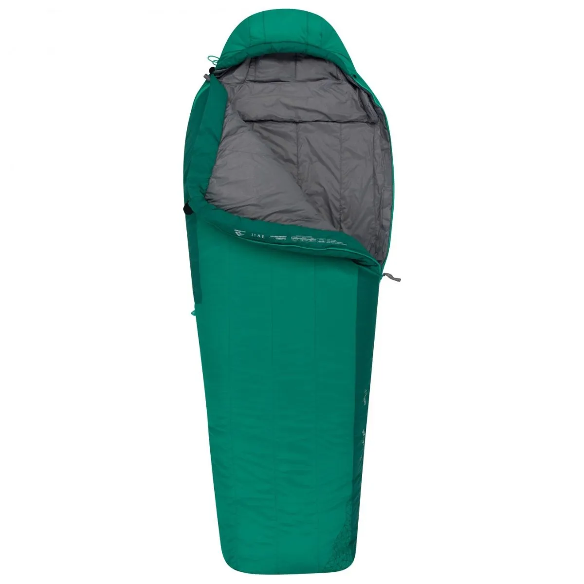 Bolsa de Dormir Sea To Summit Traverse TvII Regular