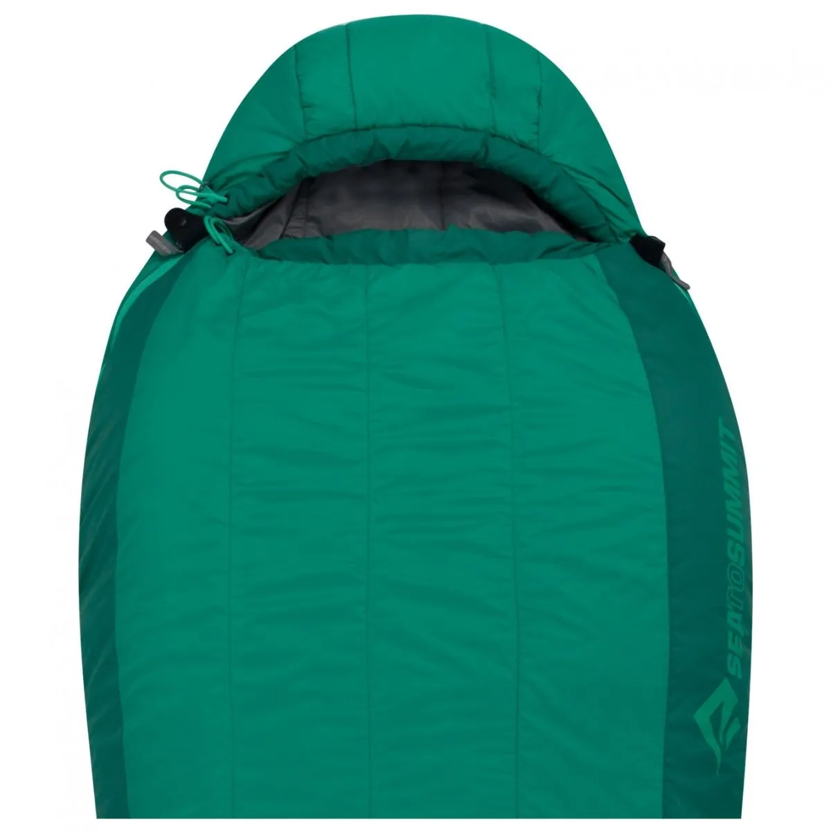 Bolsa de Dormir Sea To Summit Traverse TvII Regular