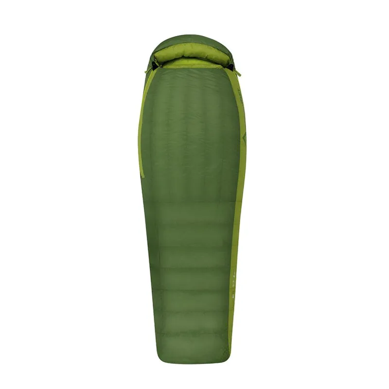 Bolsa de dormir Sea To Summit Ascent ACIII Regular